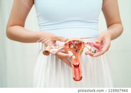 Uterus, Asian woman holding human anatomy model. 128907468