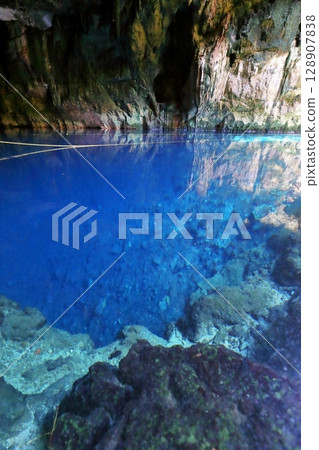 Cenote of Cusama near Merida, Mexico, North America 128907838