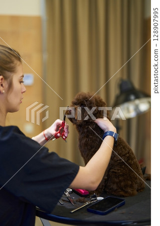 Grooming session for a brown dog in a cozy salon environment with a stylist Grooming session for a brown dog in a cozy salon environment with a stylist 128907995
