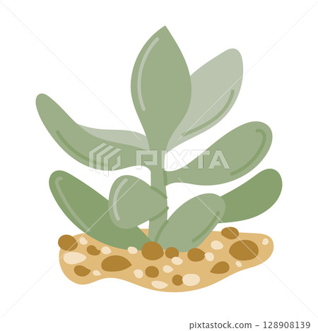 Hand drawn vector illustration of a green succulent plant growing in sandy soil with smooth rounded leaves 128908139