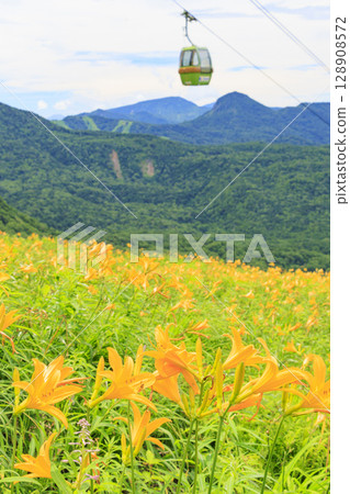Day lilies in full bloom at Higashidateyama Alpine Garden Day lilies in full bloom at Higashidateyama Alpine Garden 128908572