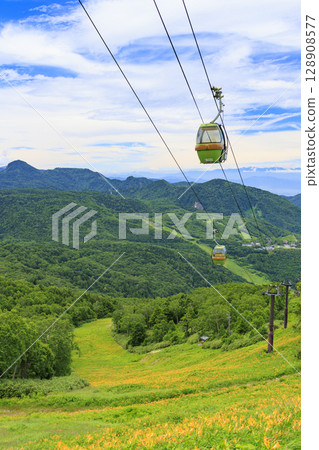 東館山高山花園盛開的萱草 東館山高山花園盛開的萱草 128908577