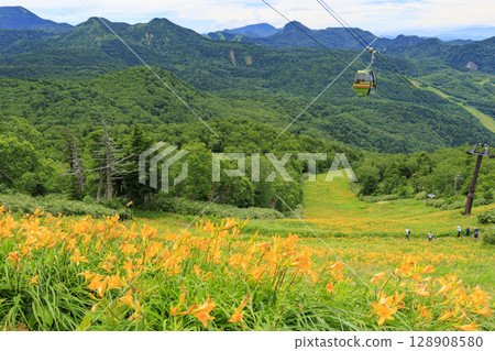 東館山高山花園盛開的萱草 128908580