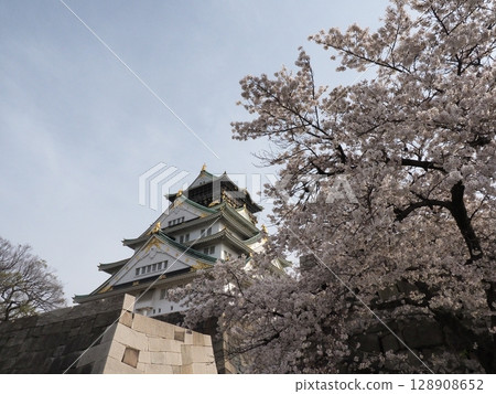Osaka Castle and Sakura 128908652
