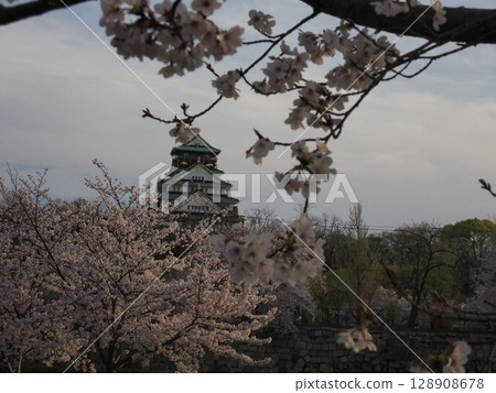 Osaka Castle and Sakura Osaka Castle and Sakura 128908678