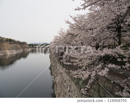 Osaka Castle and Sakura Osaka Castle and Sakura 128908705