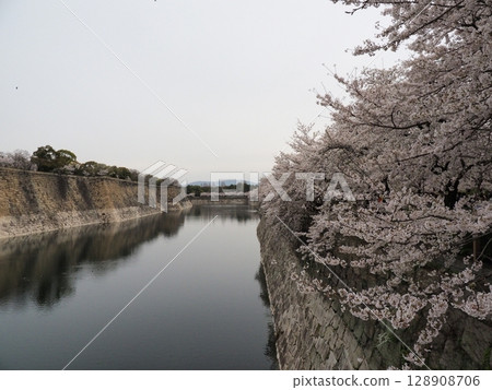 Osaka Castle and Sakura Osaka Castle and Sakura 128908706