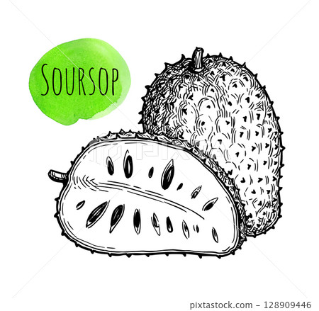 Whole and halved soursop. Whole and halved soursop. 128909446