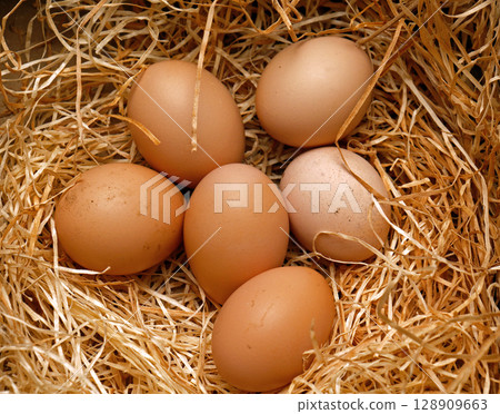 Organic chicken eggs in barn 128909663