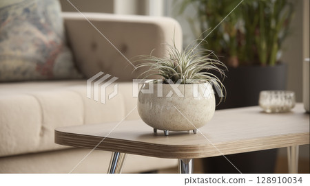 Ceramic pot with air plant sits on wooden table in cozy living room setting, creating natural and calming decorative element 128910034