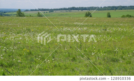 A Stunning and Vibrant Green Meadow Filled with Colorful Wildflowers in Full Blooming Season A Stunning and Vibrant Green Meadow Filled with Colorful Wildflowers in Full Blooming Season 128910336