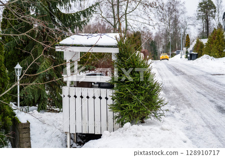 Discarded Christmas tree lying next to garbage bin after holiday season 128910717