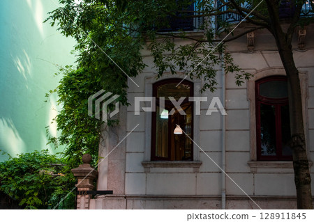 Facade of a classic house with green vines Facade of a classic house with green vines 128911845