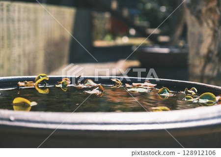 [Mizumadera] Floating plants 128912106