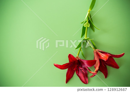 Bright petals of two red lilies isolated on green background 128912687