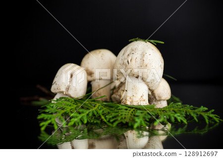 White champignons on black background 128912697