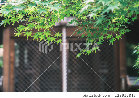 [Otokuniji Temple] A historic temple surrounded by nature in Kyoto 128912815
