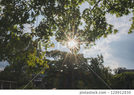 [Otokuniji Temple] A historic temple surrounded by nature in Kyoto 128912830
