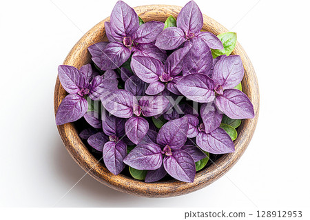 Potted basil plant with lush purple leaves on a white background. Herb in ceramic pot. Top view Potted basil plant with lush purple leaves on a white background. Herb in ceramic pot. Top view 128912953