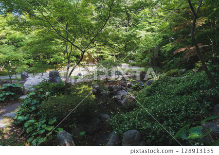 [長岡天滿宮] 自然豐富的神社內風景 128913135