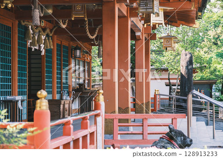 [Nagaoka Tenmangu Shrine] Kyoto - A shrine surrounded by nature 128913233