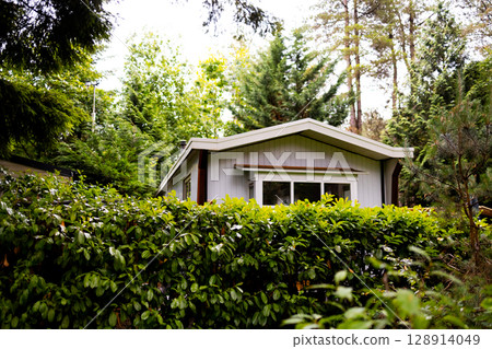 Cozy bungalow surrounded by lush green foliage and tall trees Cozy bungalow surrounded by lush green foliage and tall trees 128914049