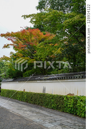 妙心寺院內樹葉開始變色的景色 妙心寺院內樹葉開始變色的景色 128914122