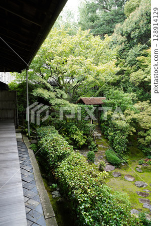 View of the grounds of Keishun-in, a subtemple of Myoshinji Temple View of the grounds of Keishun-in, a subtemple of Myoshinji Temple 128914129