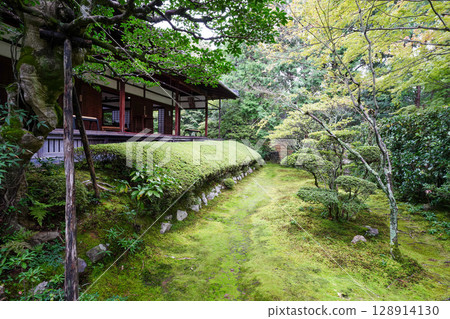 View of the grounds of Keishun-in, a subtemple of Myoshinji Temple View of the grounds of Keishun-in, a subtemple of Myoshinji Temple 128914130