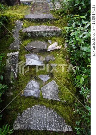 View of the grounds of Keishun-in, a subtemple of Myoshinji Temple View of the grounds of Keishun-in, a subtemple of Myoshinji Temple 128914132
