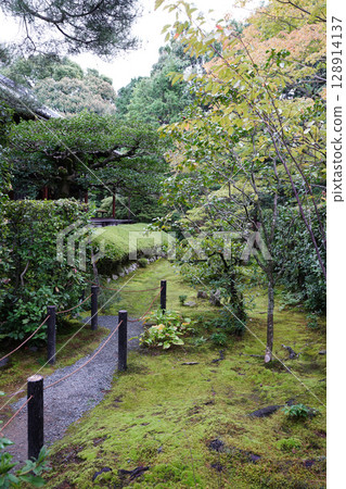 妙心寺分寺桂春院內景觀 妙心寺分寺桂春院內景觀 128914137