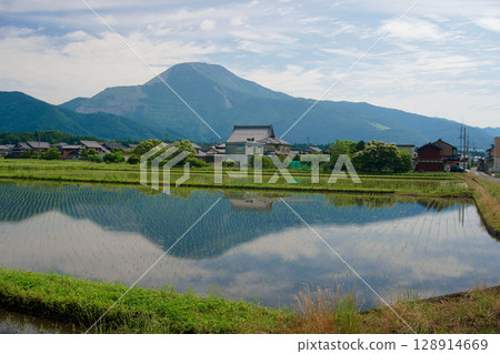 Mt. Ibuki reflected in the rice fields Mt. Ibuki reflected in the rice fields 128914669