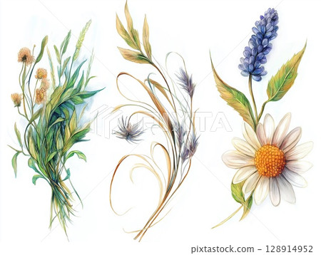 Beautiful collection of hand-drawn wildflowers showcasing nature’s delicate details 128914952