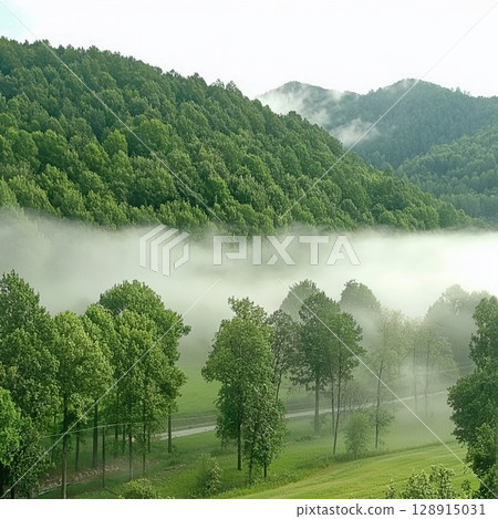 Morning fog envelops Appalachian valleys creating a serene landscape at dawn Morning fog envelops Appalachian valleys creating a serene landscape at dawn 128915031