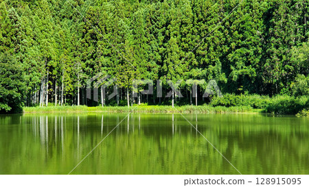 Ryuo-ga-buchi, a Takayama pond surrounded by fresh greenery 128915095