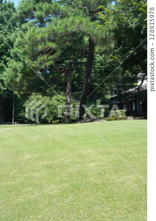 夏天的殿谷戶花園 夏天的殿谷戶花園 128915978
