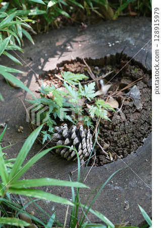 夏天的殿谷戶花園 夏天的殿谷戶花園 128915979
