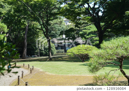 Tonogayato garden in summer 128916084