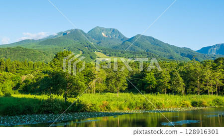 井盛池和妙高山(夏季) 井盛池和妙高山(夏季) 128916301