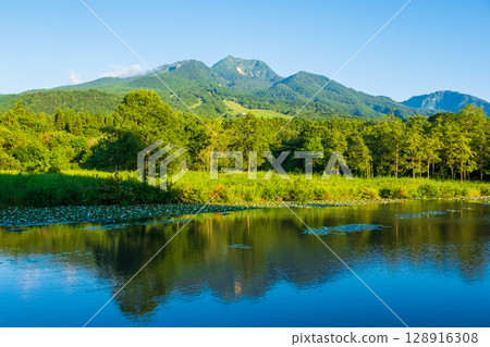 井盛池和妙高山（夏季） 128916308