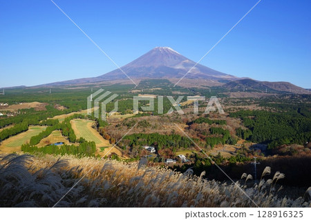 藍天映襯下的富士山與十里木高原的紫芒 十一月的風景，富士山618 十里木高原的紫芒 128916325