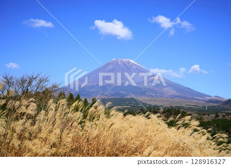 藍天映襯下的富士山與十里木高原的紫芒 十一月的風景，富士山 627 十里木高原的紫芒 128916327