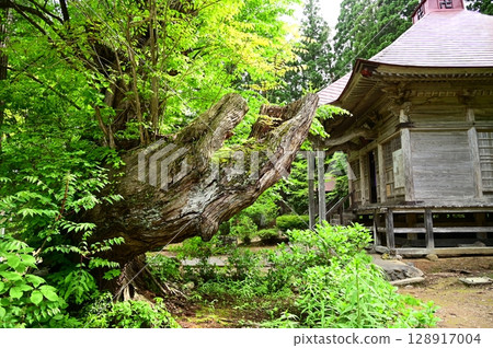 神佛合一的遺跡:圓滿寺觀音堂與八坂神社 神佛合一的遺跡:圓滿寺觀音堂與八坂神社 128917004