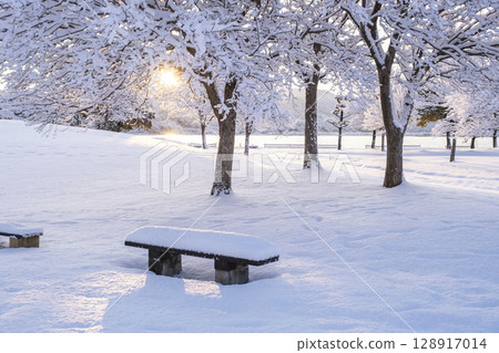 清晨陽光透過新雪照射在公園裡的風景 128917014