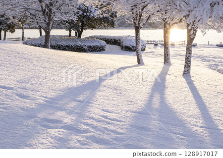 清晨陽光透過新雪照射在公園裡的風景 清晨陽光透過新雪照射在公園裡的風景 128917017