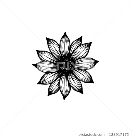 Elegant botanical vector illustration of a flower with intricate line work 128917175