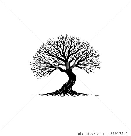 Monochrome Illustration: A Bare Tree with Intricate Branch Patterns on White Backdrop 128917241