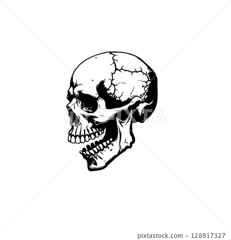 Skull illustration in black and white with high detail, perfect for dark themes Skull illustration in black and white with high detail, perfect for dark themes 128917327
