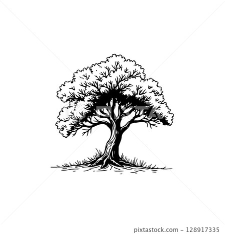 Elegant solitary tree illustration on a white background providing a timeless emblem 128917335