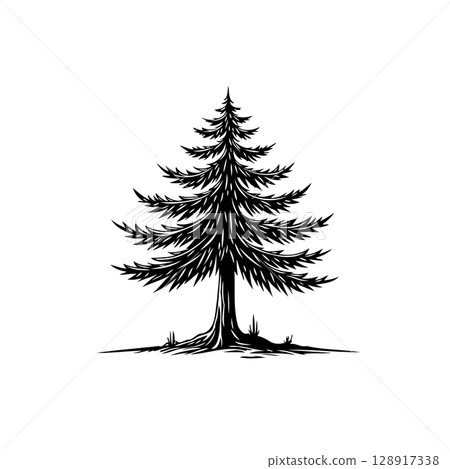 Elegant evergreen pine tree illustration in detailed black and white vector format 128917338